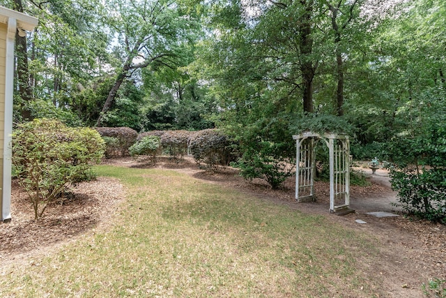 1300 Concord Ave, North Augusta, SC 29841 - view of grassy yard