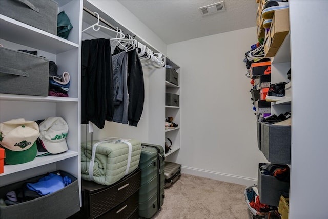 spacious closet with light carpet