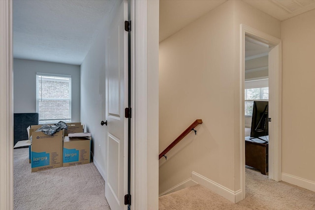 stairway featuring carpet