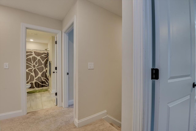 hallway with carpet flooring