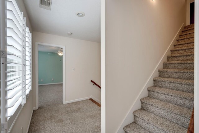 2288 William Few Pkwy, Evans, GA 30809 - stairs with carpet floors, ceiling fan, and baseboards