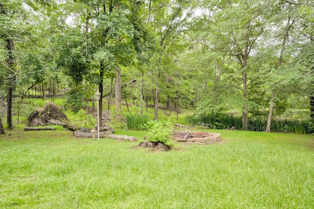 2288 William Few Pkwy, Evans, GA 30809 - view of grassy yard