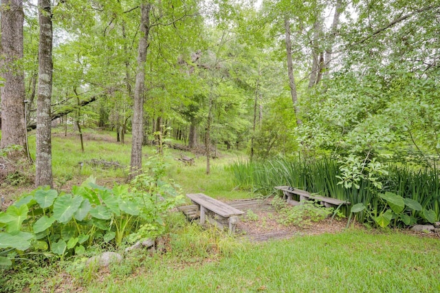 2288 William Few Pkwy, Evans, GA 30809 - view of yard