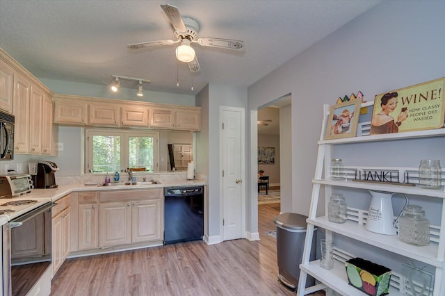 kitchen with sink, ceiling fan, black appliances, a textured ceiling, and light hardwood / wood-style flooring