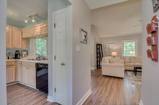 kitchen with light hardwood / wood-style floors, black dishwasher, sink, and light brown cabinets