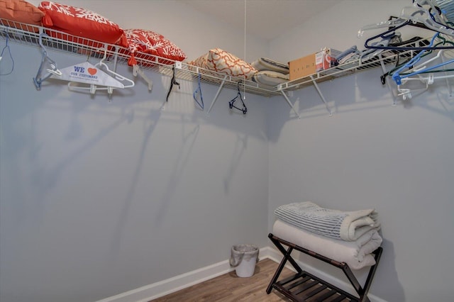 walk in closet with hardwood / wood-style floors