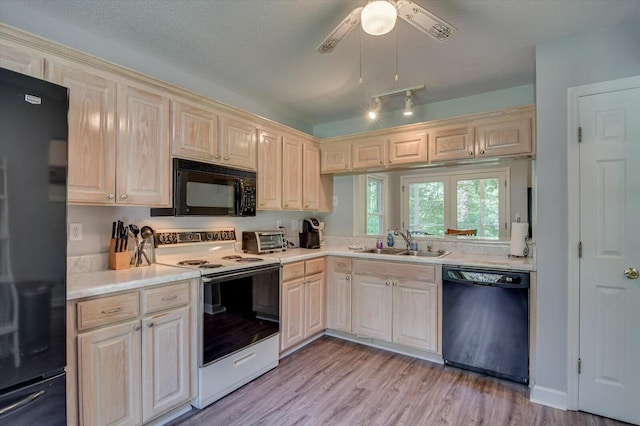 kitchen with light hardwood / wood-style floors, sink, a textured ceiling, and black appliances