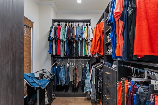 walk in closet with dark hardwood / wood-style flooring