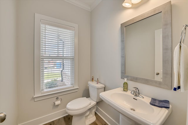 8073 Crossbow Lndg, Graniteville, SC 29829 - bathroom with ornamental molding, wood finished floors, a sink, baseboards, and toilet