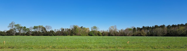 2012 Elite Ct, Hephzibah GA, 30815 land for sale