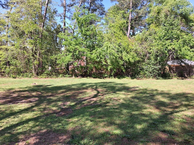 3409 Arden Ct, Augusta, GA 30906 - view of yard