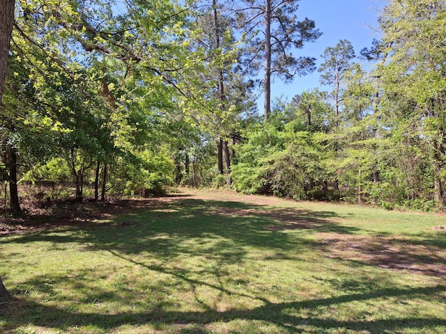 3409 Arden Ct, Augusta, GA 30906 - view of yard featuring a view of trees