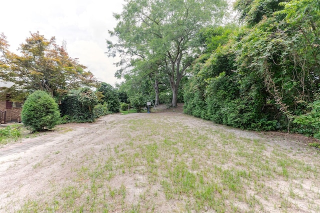2161 Chadwick Rd, Augusta, GA 30906 - view of yard