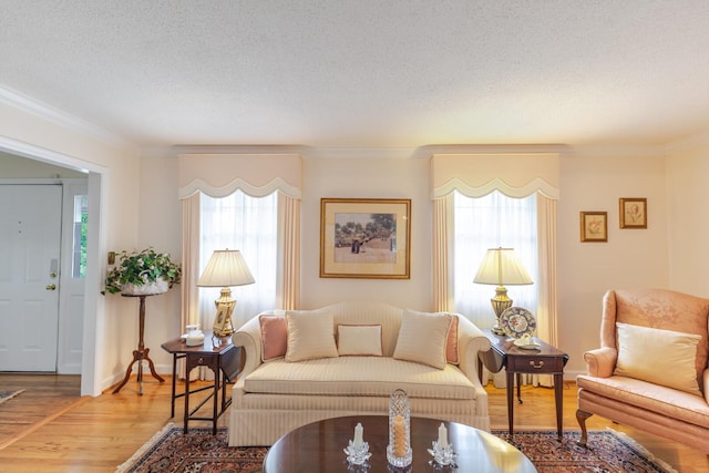 2161 Chadwick Rd, Augusta, GA 30906 - living room with ornamental molding, wood finished floors, and a textured ceiling