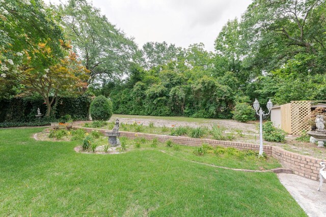 2161 Chadwick Rd, Augusta, GA 30906 - view of grassy yard