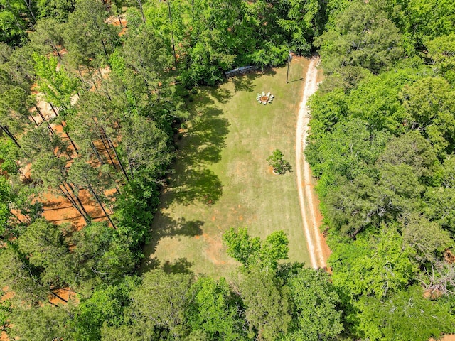 2960 Old Thomson Rd, Appling, GA 30802 - bird's eye view