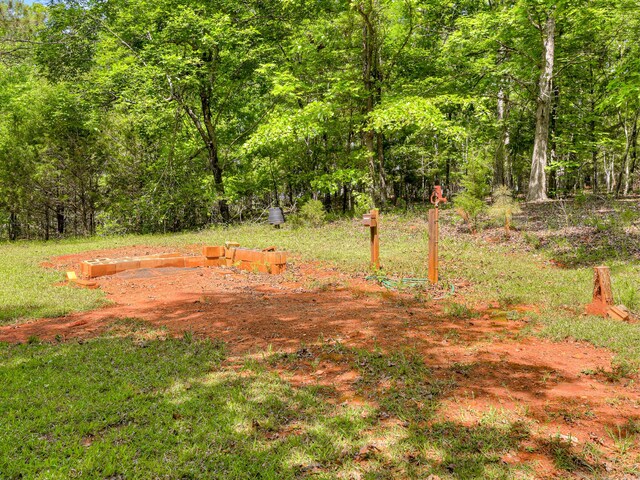 2960 Old Thomson Rd, Appling, GA 30802 - view of yard with a forest view