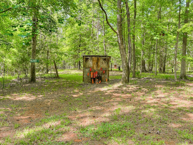2960 Old Thomson Rd, Appling, GA 30802 - view of yard featuring an outbuilding