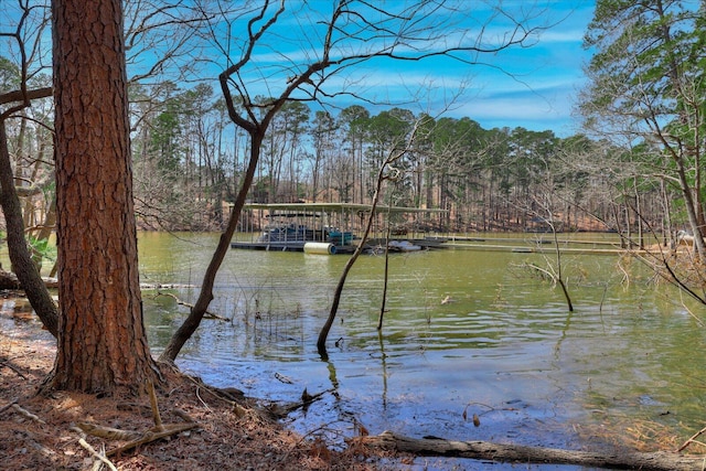 140 Perrault Ct, Mccormick, SC 29835 - photo 35