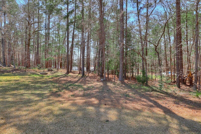 140 Perrault Ct, Mccormick, SC 29835 - photo 46