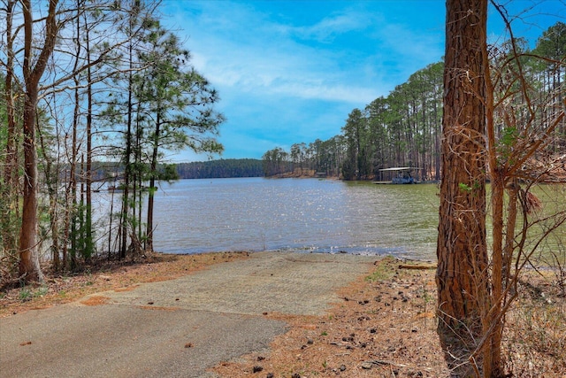 140 Perrault Ct, Mccormick, SC 29835 - photo 39