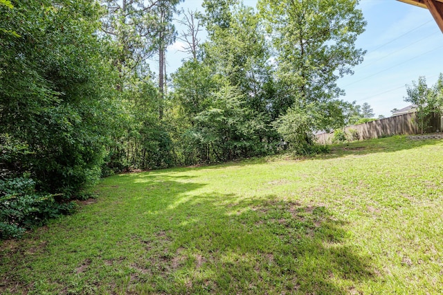 603 Ridgefield Dr, North Augusta, SC 29841 - view of yard