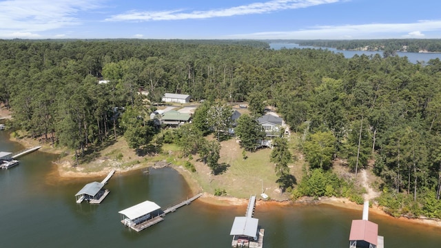 1128 Whitstone Rd, Lincolnton, GA 30817 - photo 4