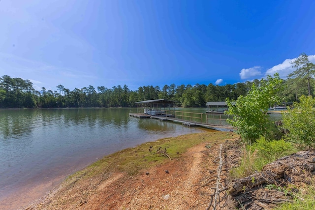 1128 Whitstone Rd, Lincolnton, GA 30817 - photo 56