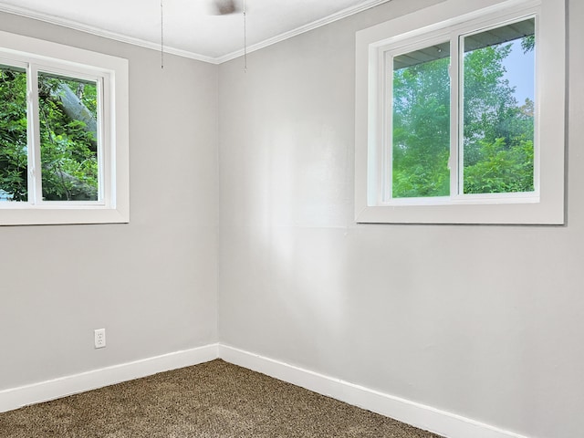spare room featuring baseboards, dark colored carpet, and crown molding