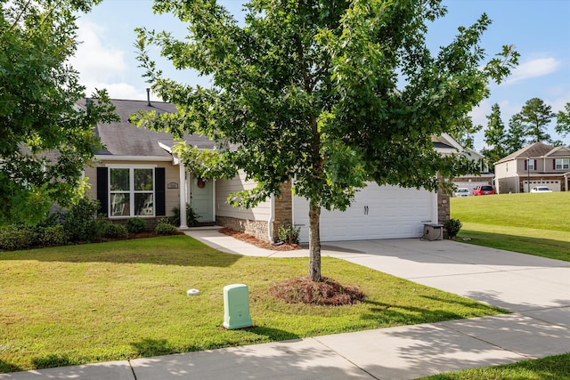 723 Edenberry St, Grovetown, GA 30813 - photo 4