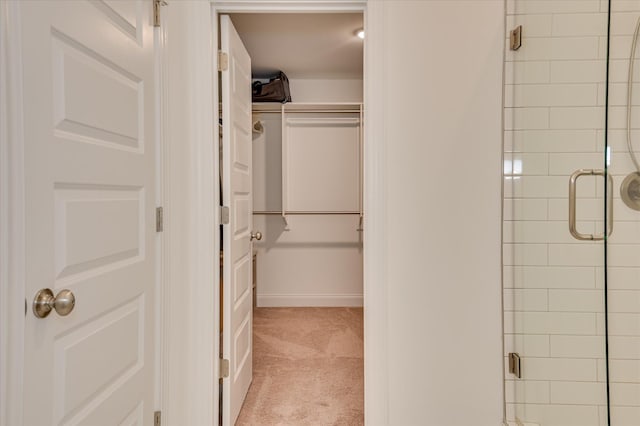 508 Oakley Grv Cir, Evans, GA 30809 - bathroom featuring a shower stall and a spacious closet