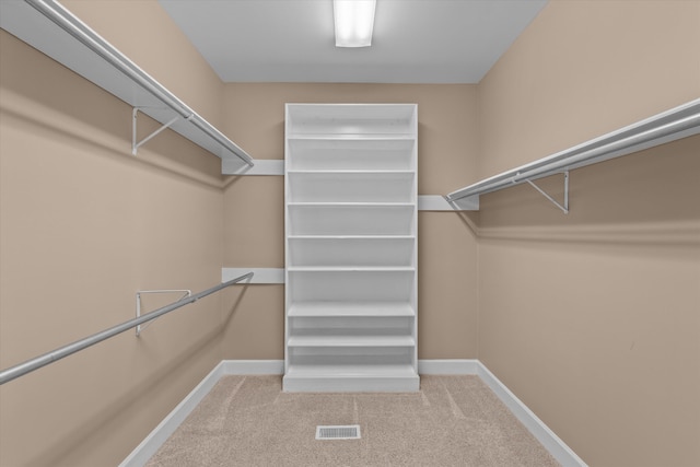 3570 Granite Way, Martinez, GA 30907 - walk in closet featuring carpet