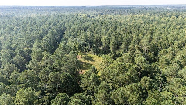 33AC Cross Crk, Edgefield, SC 29824 - photo 19