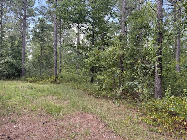 33AC Cross Crk, Edgefield, SC 29824 - photo 4