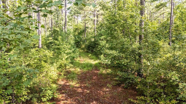 33AC Cross Crk, Edgefield, SC 29824 - photo 20