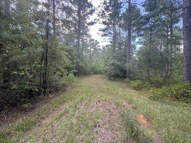 33AC Cross Crk, Edgefield, SC 29824 - photo 5