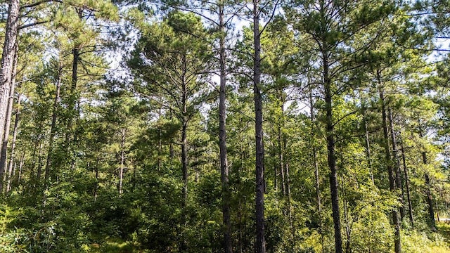 33AC Cross Crk, Edgefield, SC 29824 - photo 24