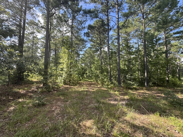 33AC Cross Crk, Edgefield, SC 29824 - photo 1