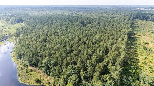 33AC Cross Crk, Edgefield, SC 29824 - photo 23