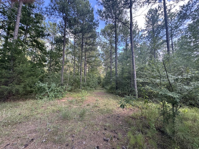 33AC Cross Crk, Edgefield, SC 29824 - photo 12