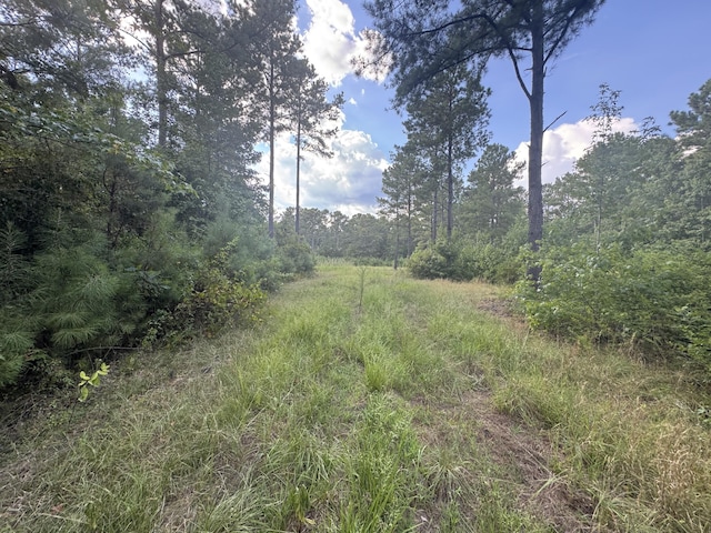33AC Cross Crk, Edgefield, SC 29824 - photo 7