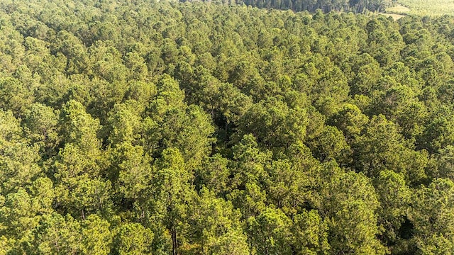 33AC Cross Crk, Edgefield, SC 29824 - photo 15