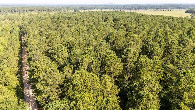 33AC Cross Crk, Edgefield, SC 29824 - photo 21