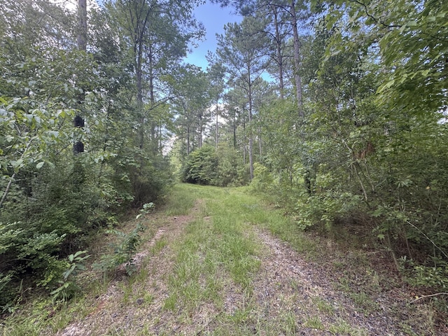 33AC Cross Crk, Edgefield, SC 29824 - photo 6