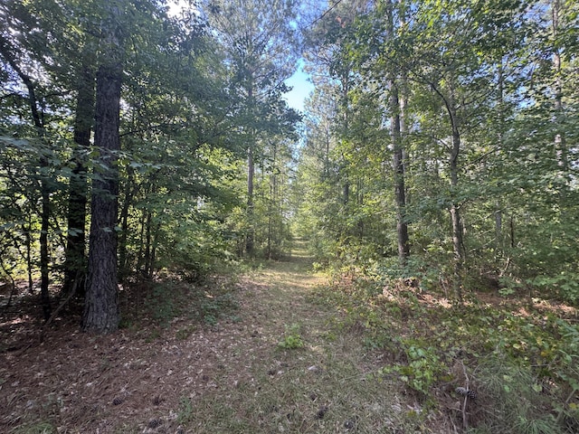 33AC Cross Crk, Edgefield, SC 29824 - photo 9