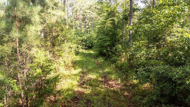 33AC Cross Crk, Edgefield, SC 29824 - photo 22