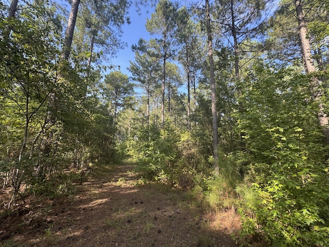 33AC Cross Crk, Edgefield, SC 29824 - photo 10