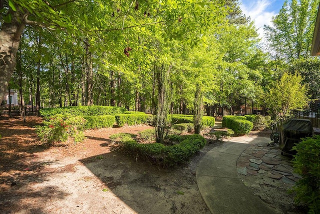 2425 Club Dr, Aiken, SC 29803 - photo 21