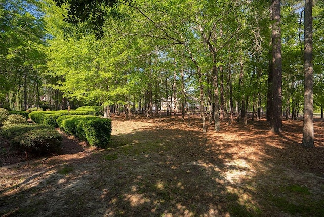 2425 Club Dr, Aiken, SC 29803 - photo 23