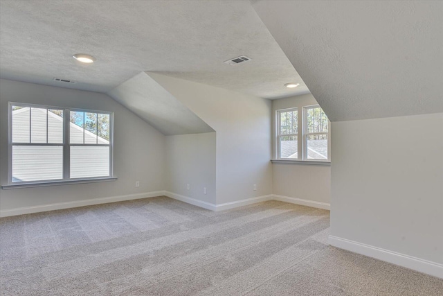 additional living space featuring a textured ceiling, lofted ceiling, and light carpet